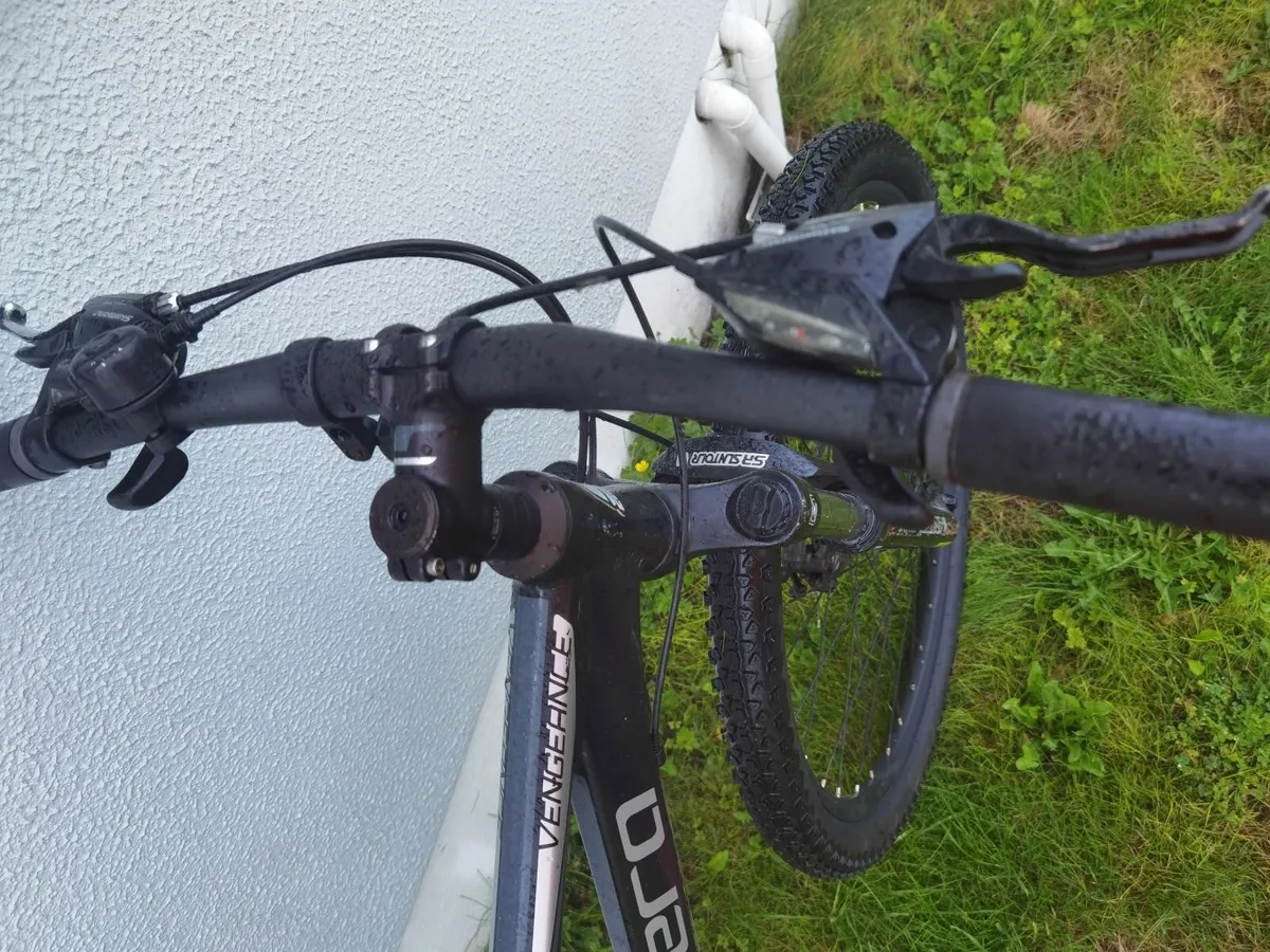 Carrera bike - Image 4