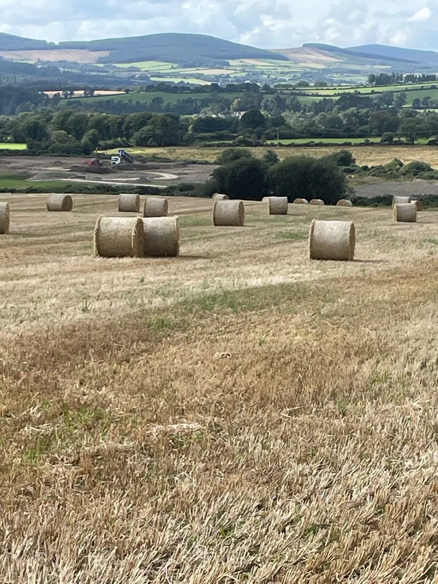 Straw
