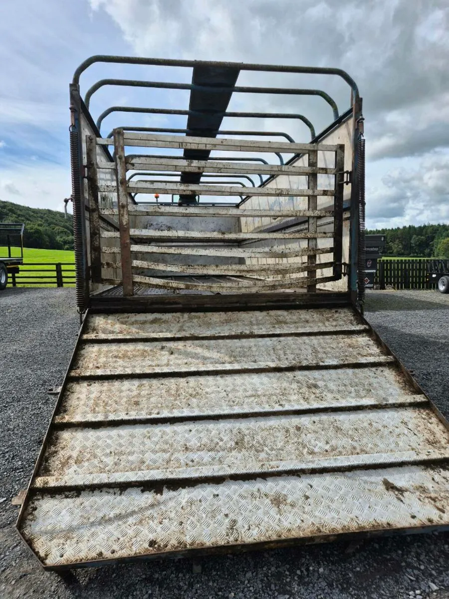 Cattle trailer - Image 4