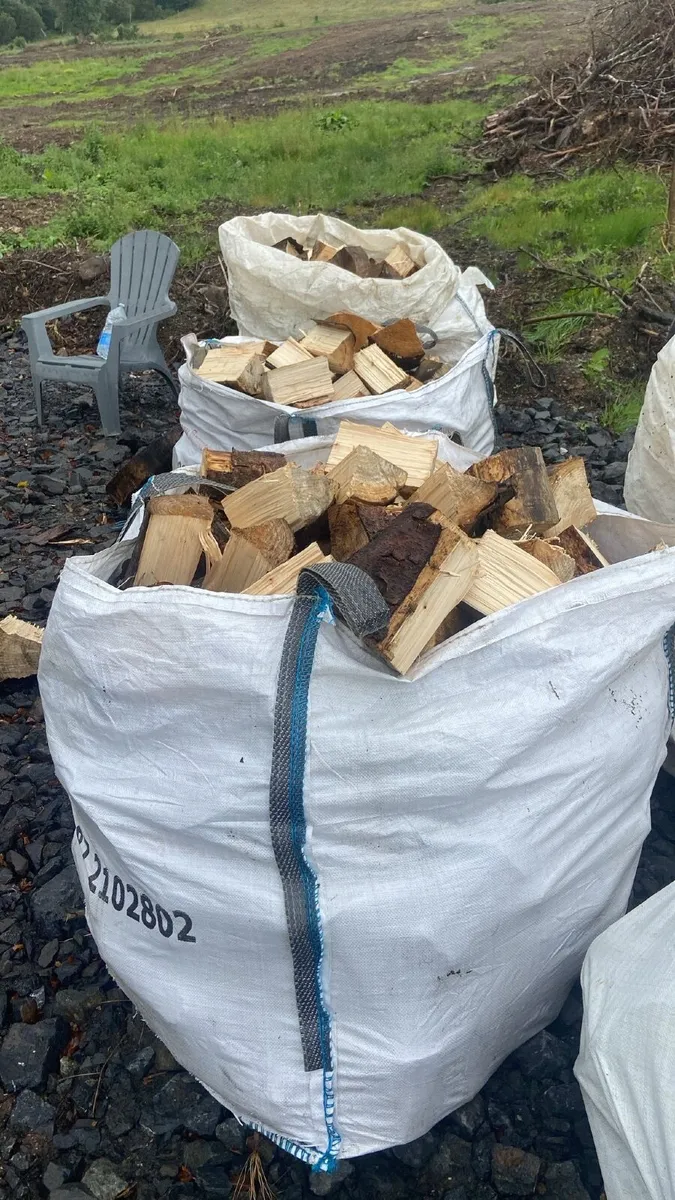 Wood sticks for fire place - Image 1