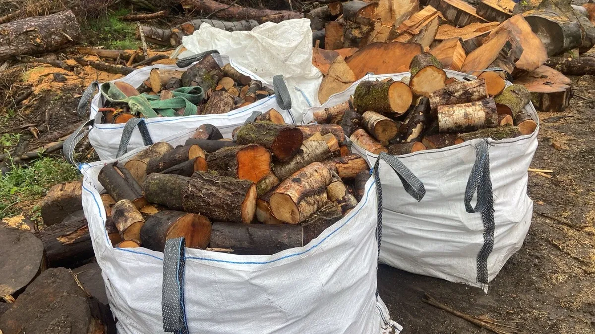 Wood sticks for fire place - Image 2