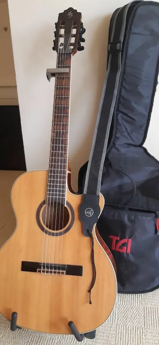 Guitar