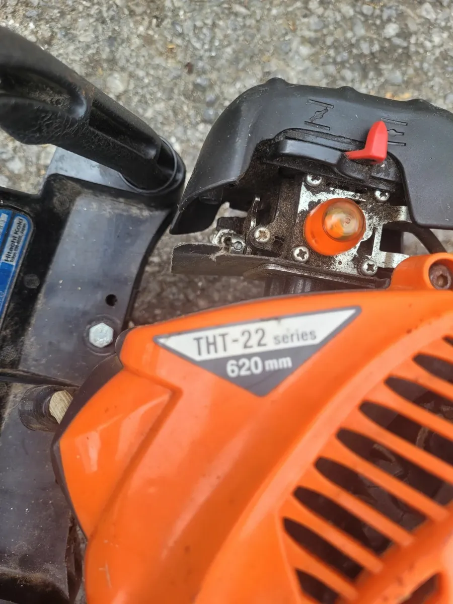 2021 Tanaka hedge strummers running well - Image 2