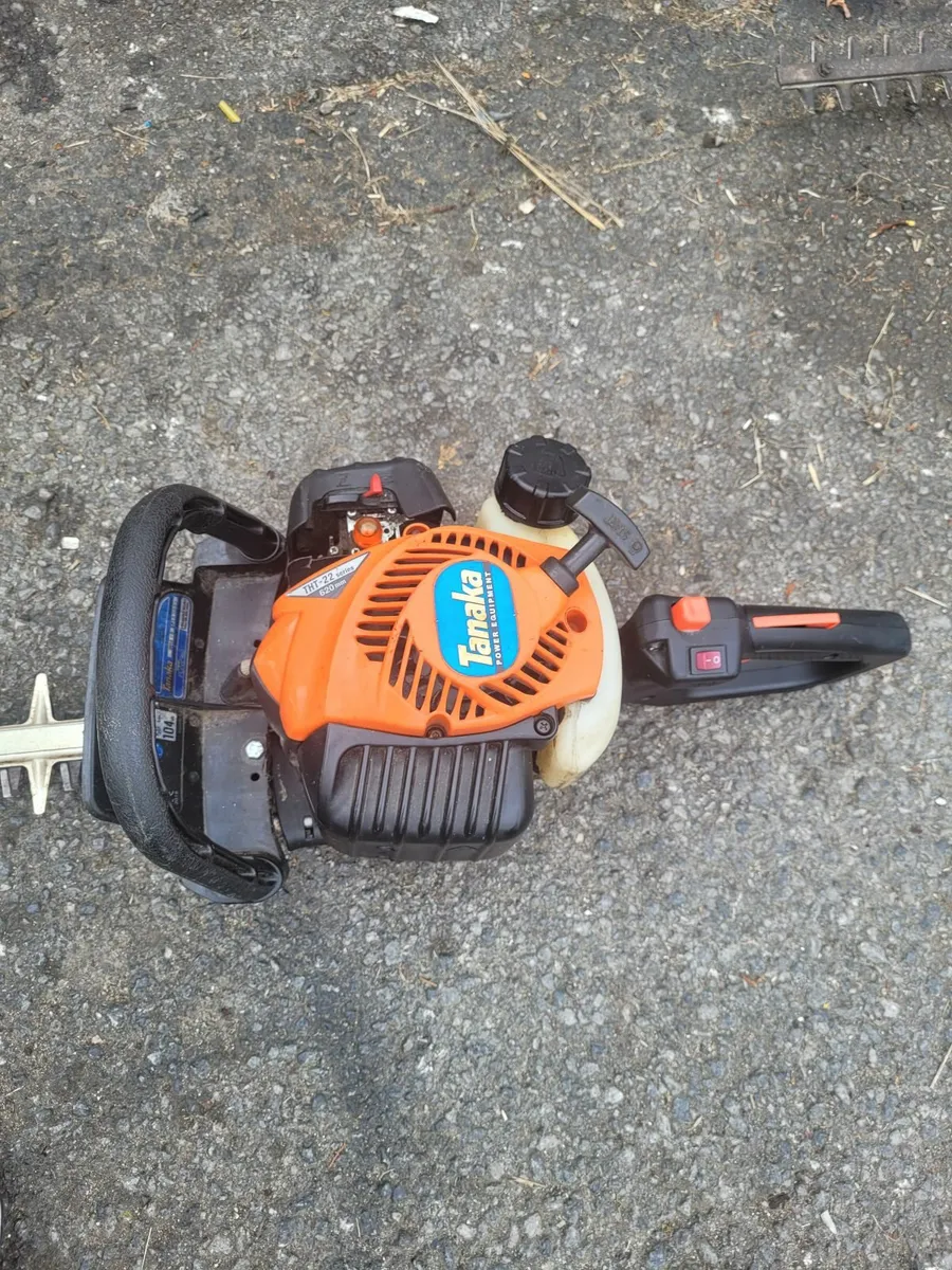 2021 Tanaka hedge strummers running well - Image 3