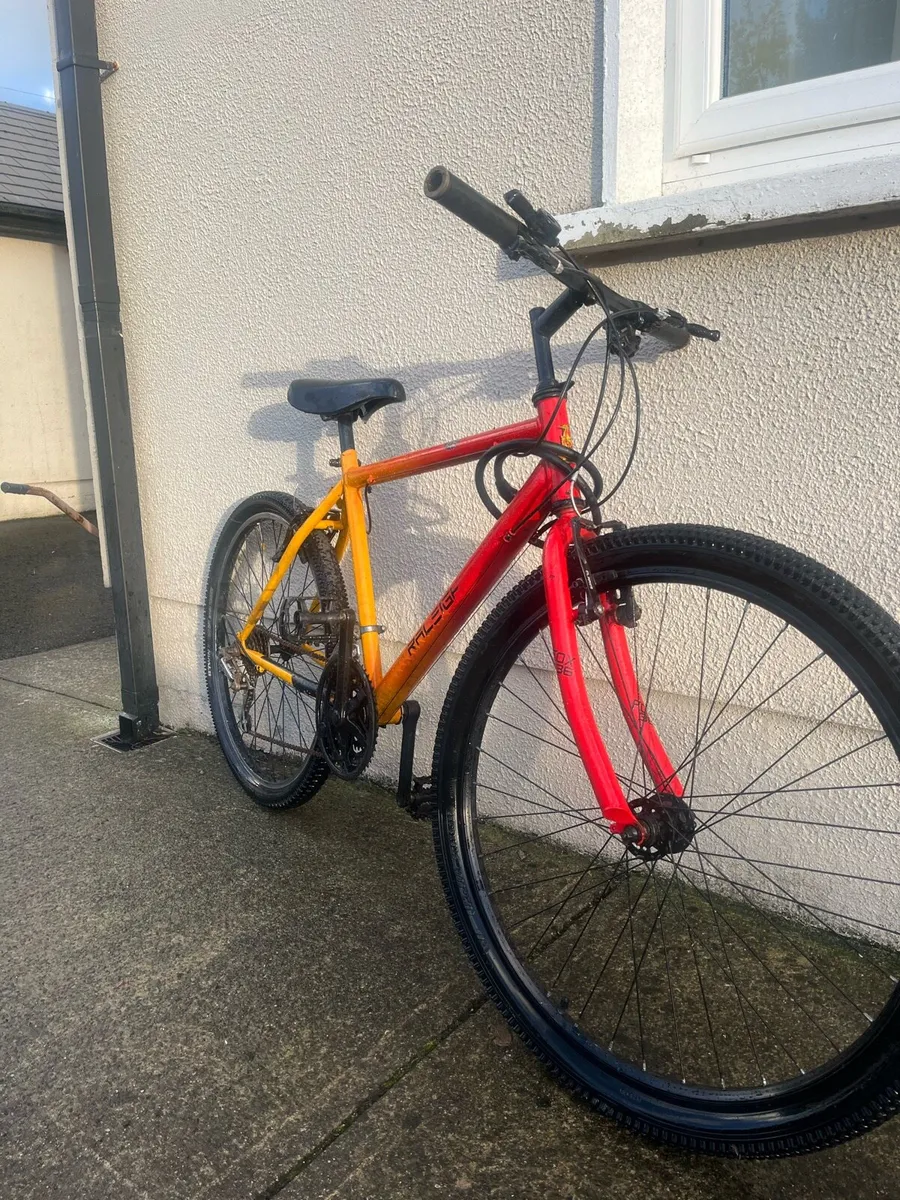 Bike - Image 2