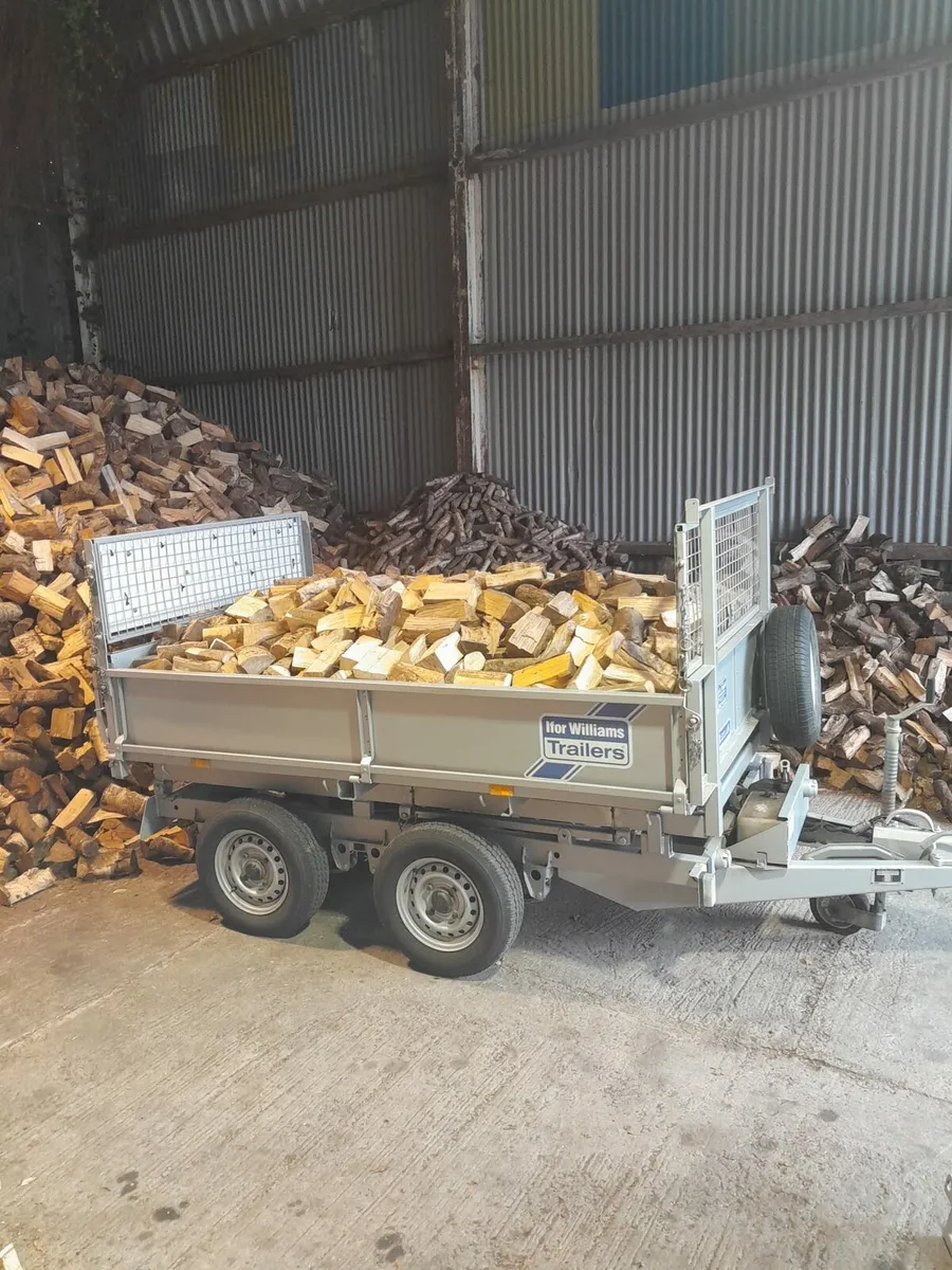 Firewood - Image 2