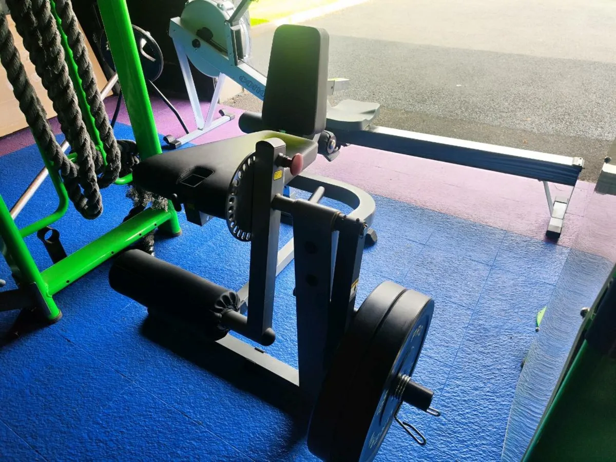 Leg curl - Image 2