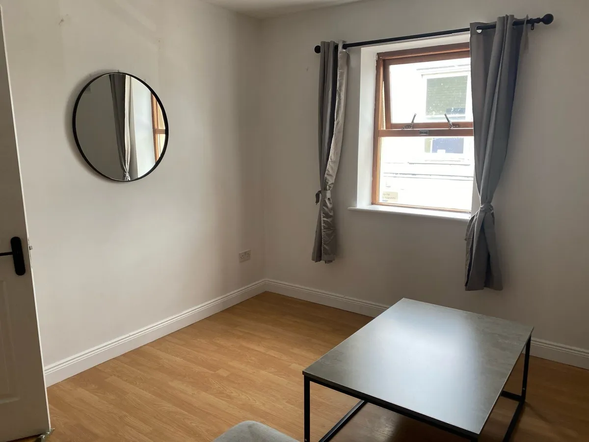 1 bed Apartment for ploughing championships - Image 2