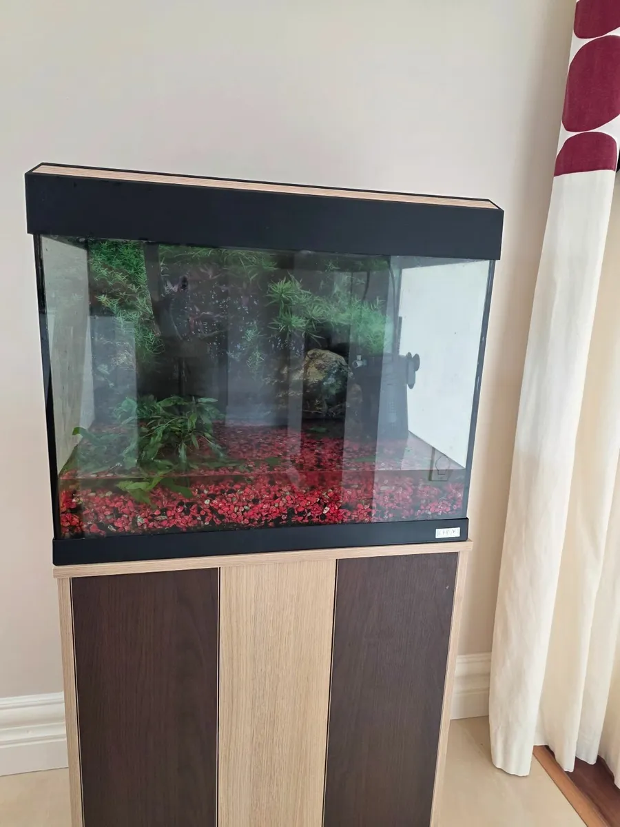 Fishtank - Image 2