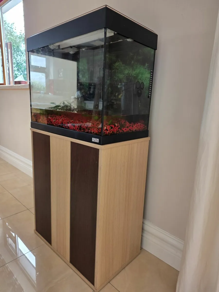Fishtank - Image 3