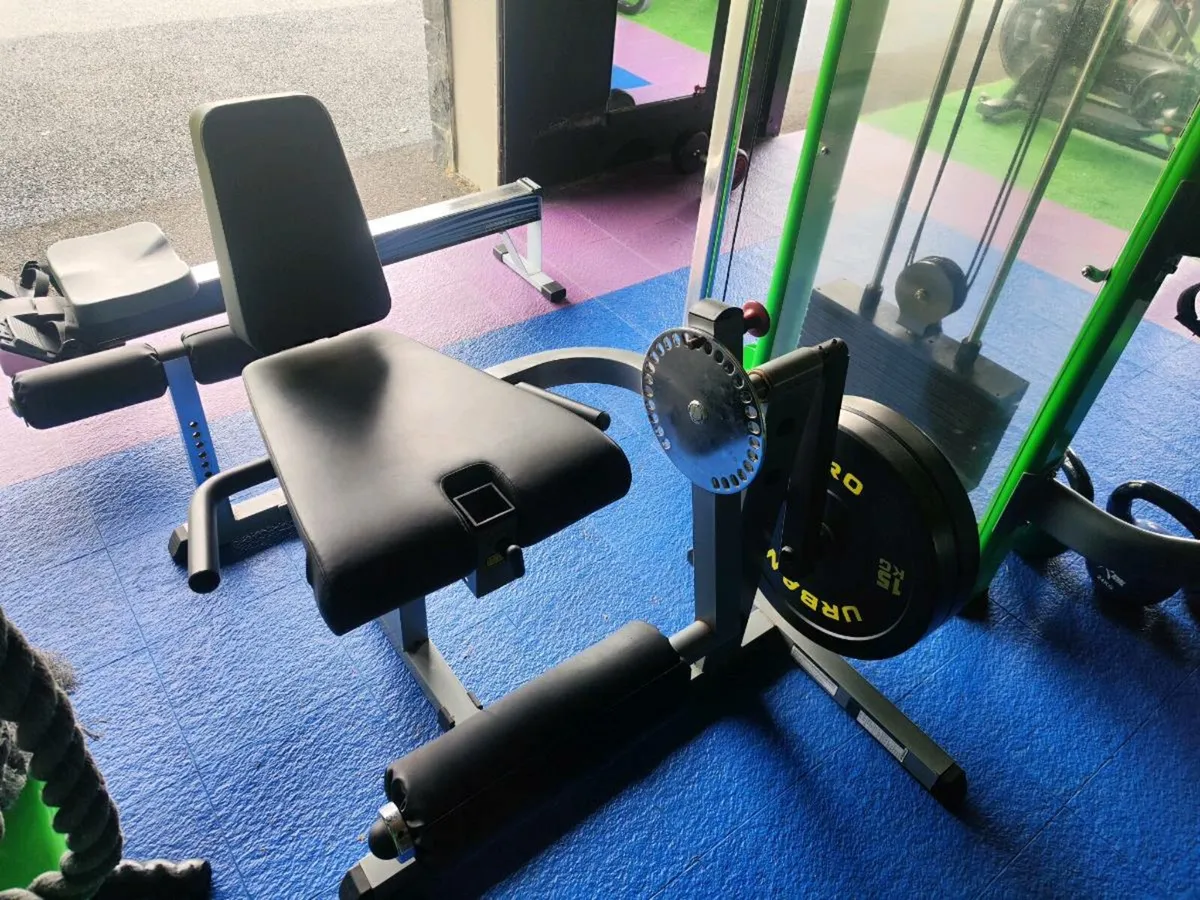 Leg curl - Image 1
