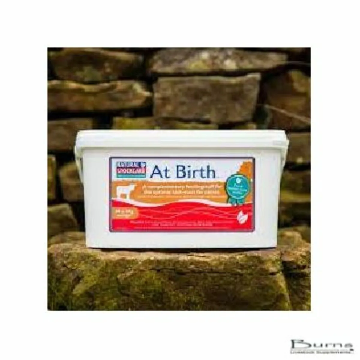 Give Your Autumn Calves The Best Start Now - Image 4