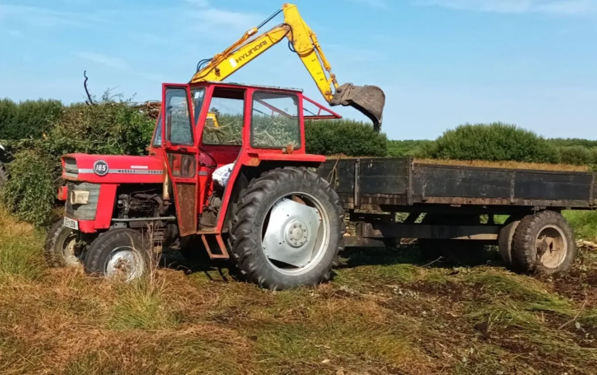 Massey 165 - Image 3
