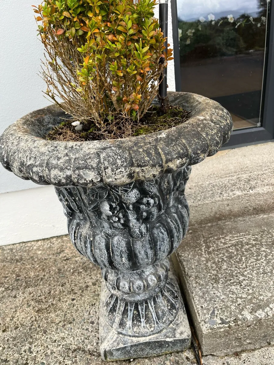 2 pedestals flower pots - Image 4