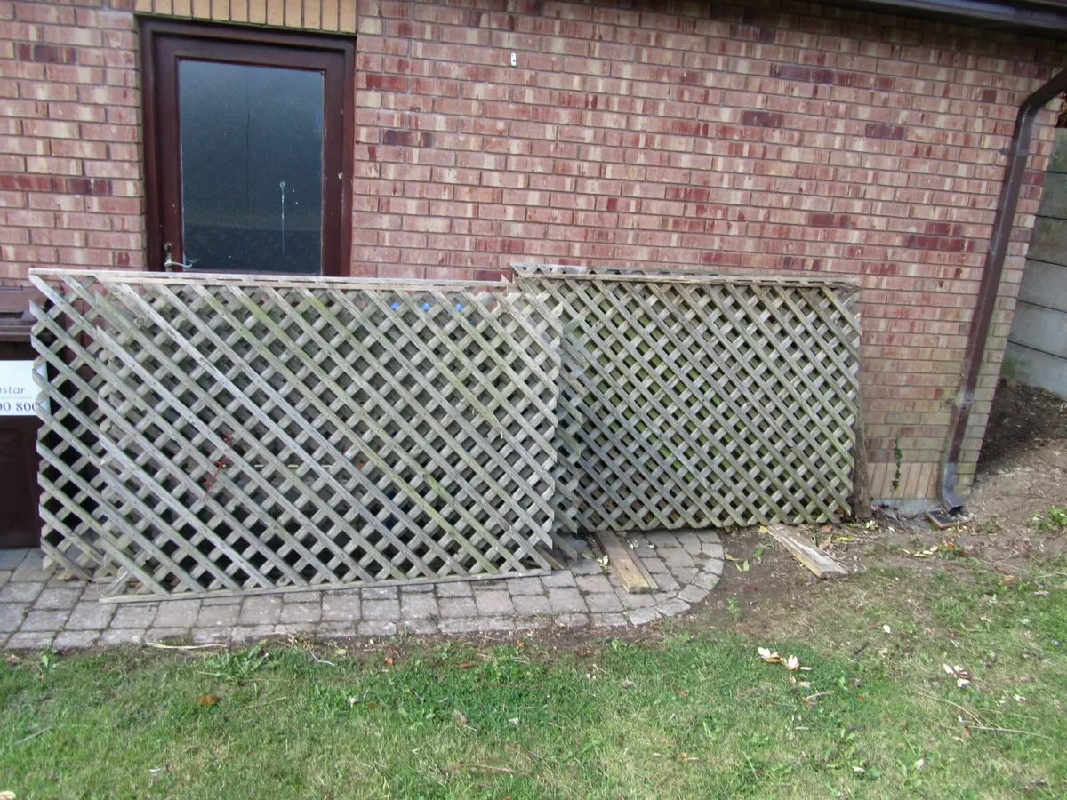 garden trellis - Image 1