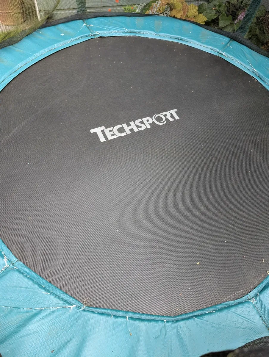 Trampoline - Image 1