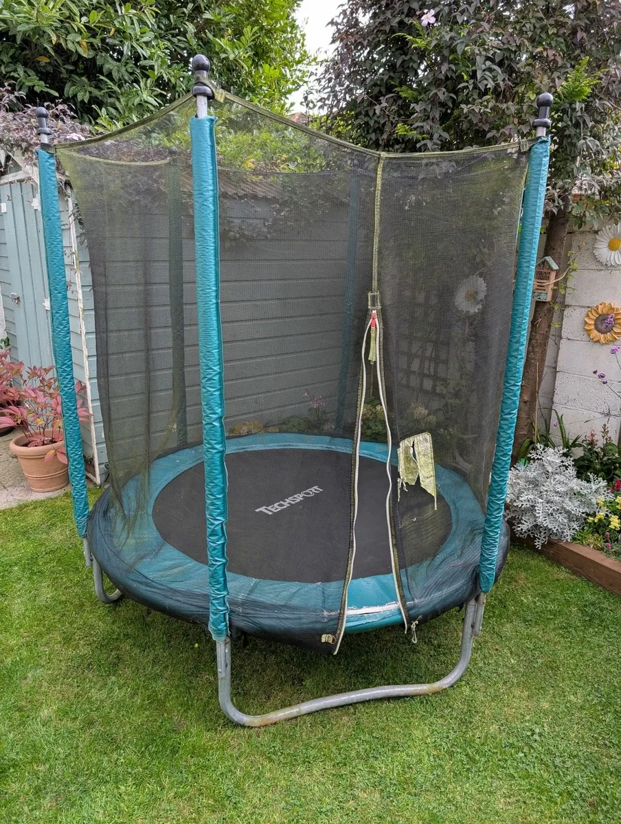 Trampoline - Image 2
