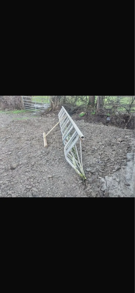 Heavy duty feeding barriers - Image 2