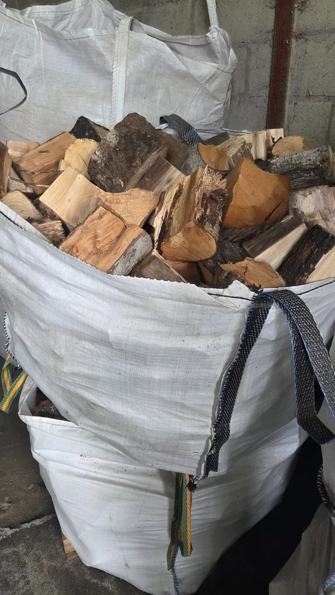 Firewood - Image 2
