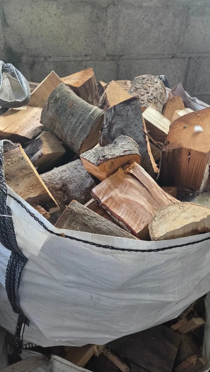 Firewood - Image 3