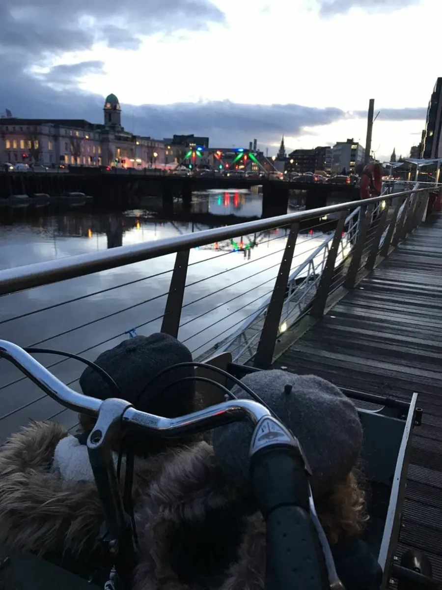 Cargo Bike Babboe Big - Image 3