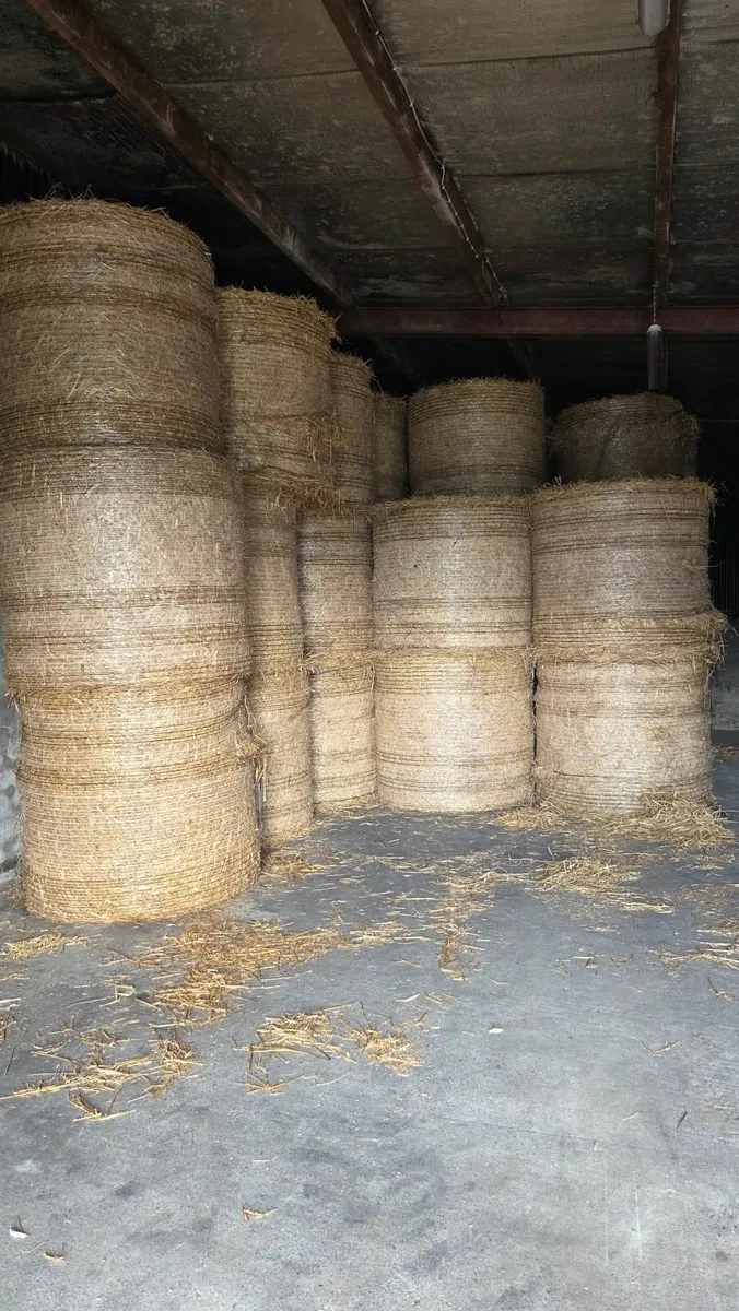 Straw