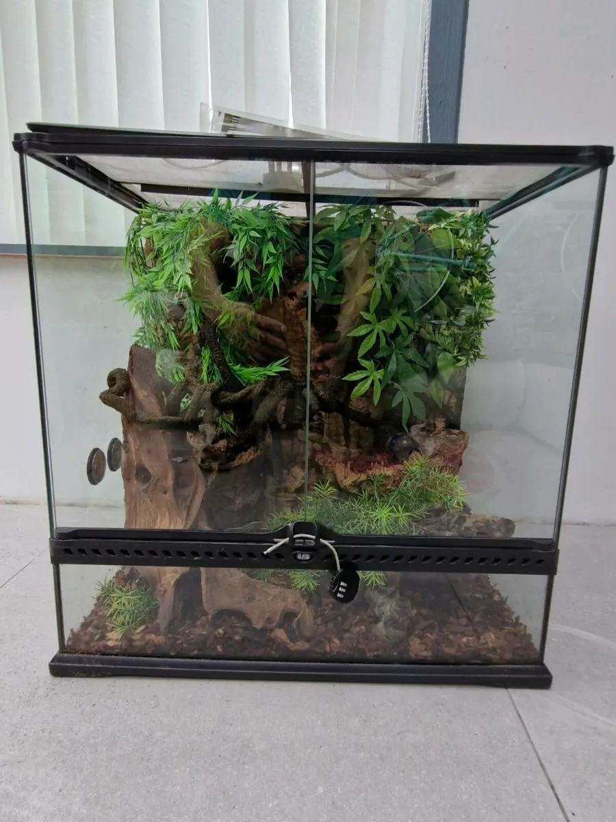 Eco Terra - Image 1