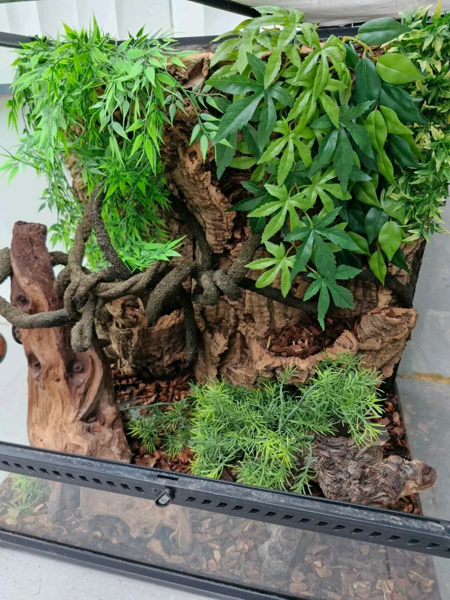 Eco Terra - Image 3