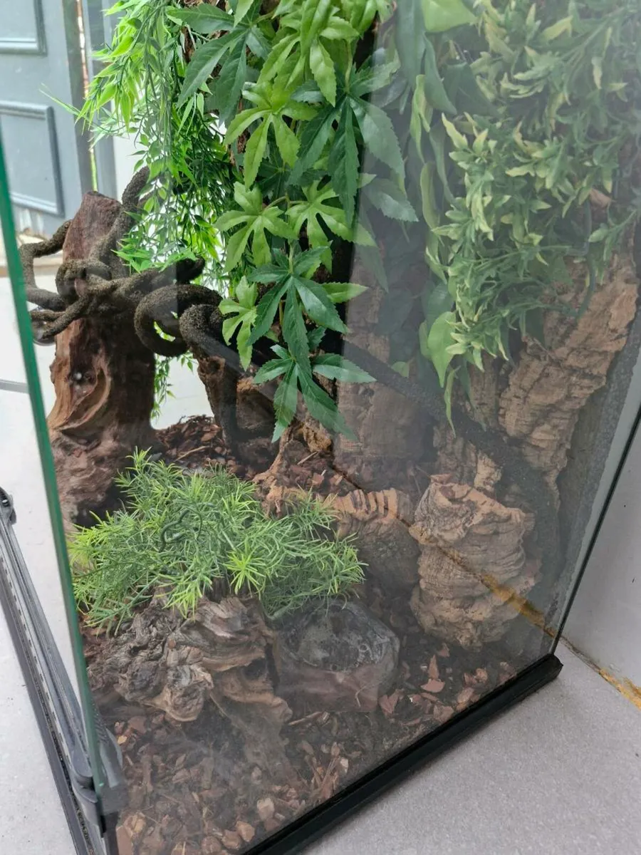 Eco Terra - Image 4