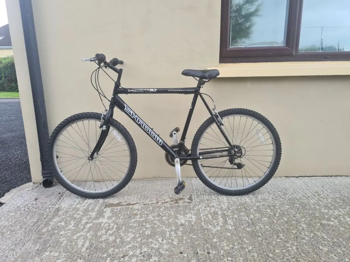 Mountain Bike