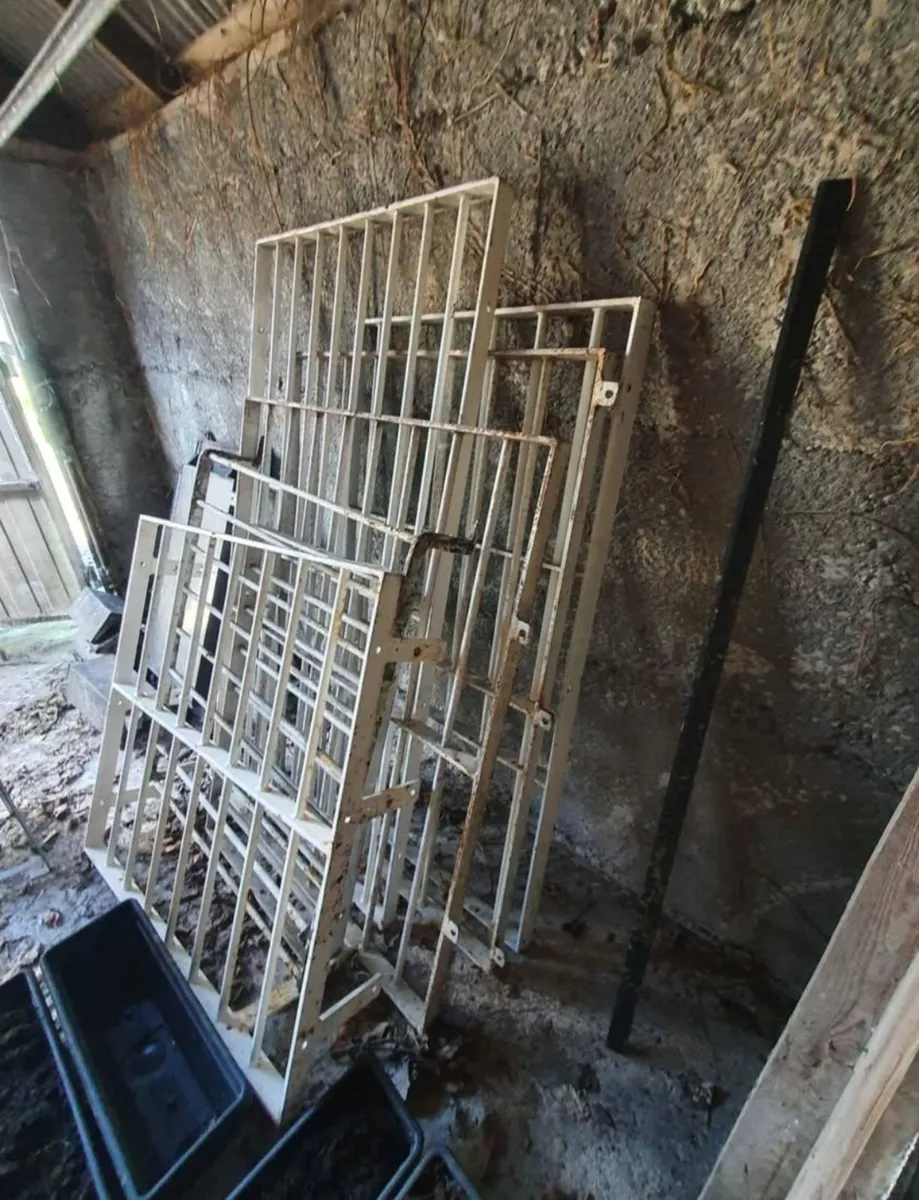 Steel Window Cages - Image 2