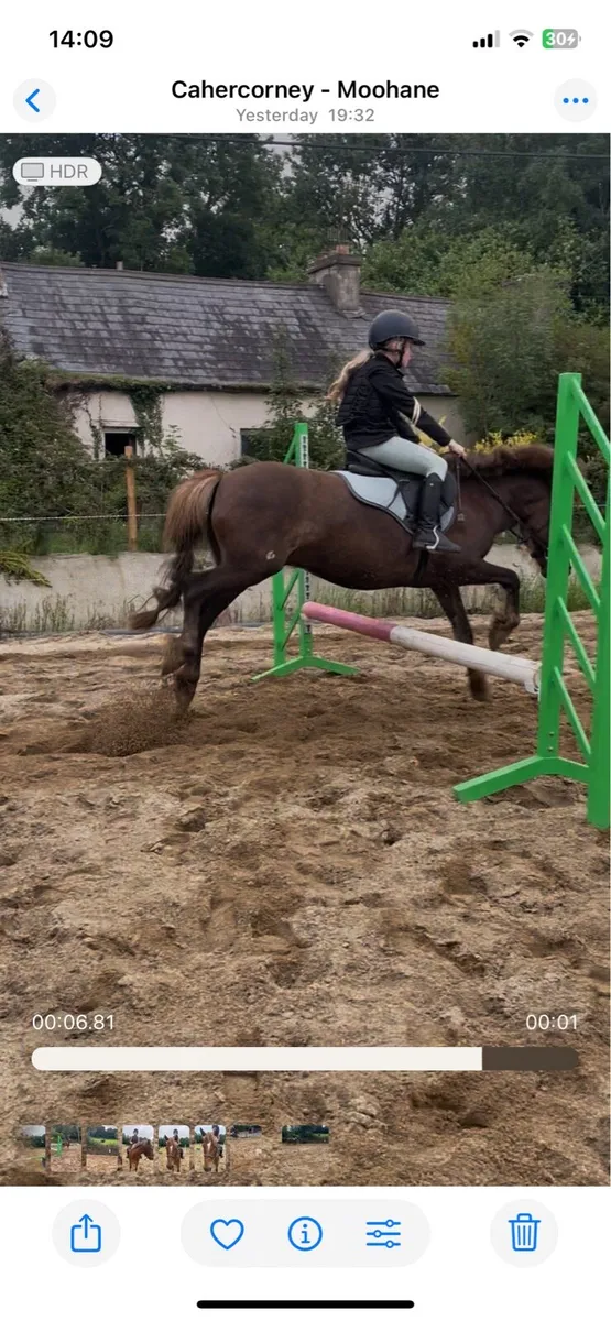 11.2h First Pony! - Image 3