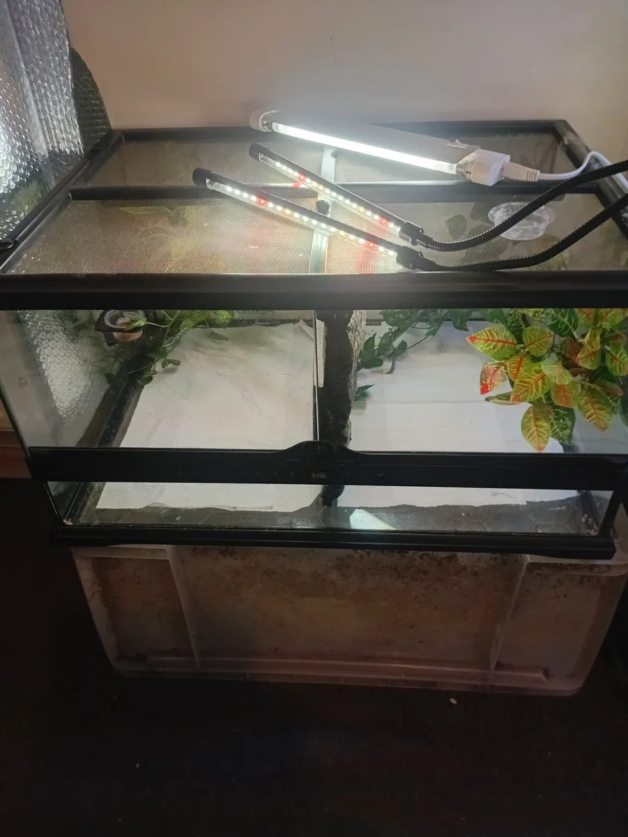 Terrarium