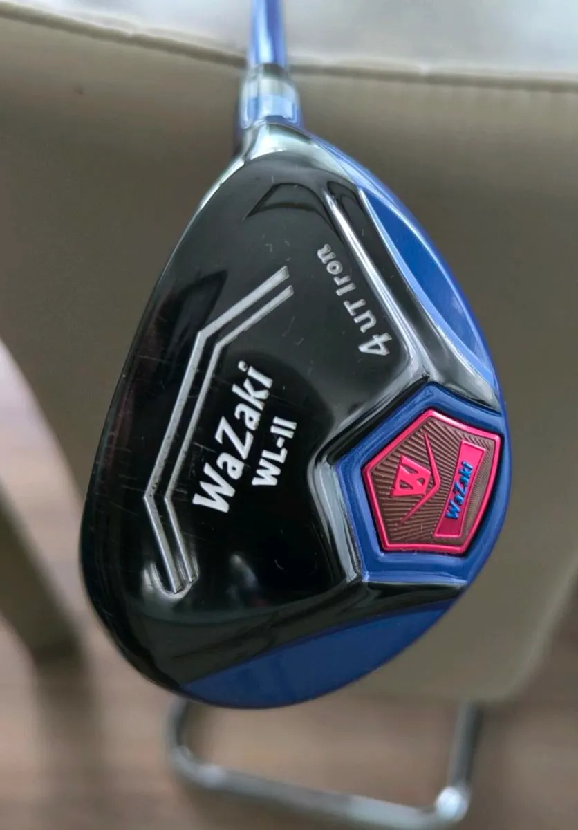 Wazaki 4 hybrid - Image 1