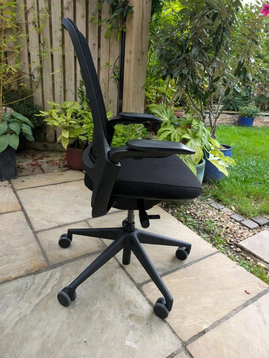 Ergonomic office chair - Image 1