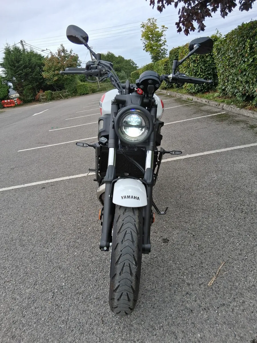 241 Yamaha XSR700 **only 629kms**  As NEW - Image 2