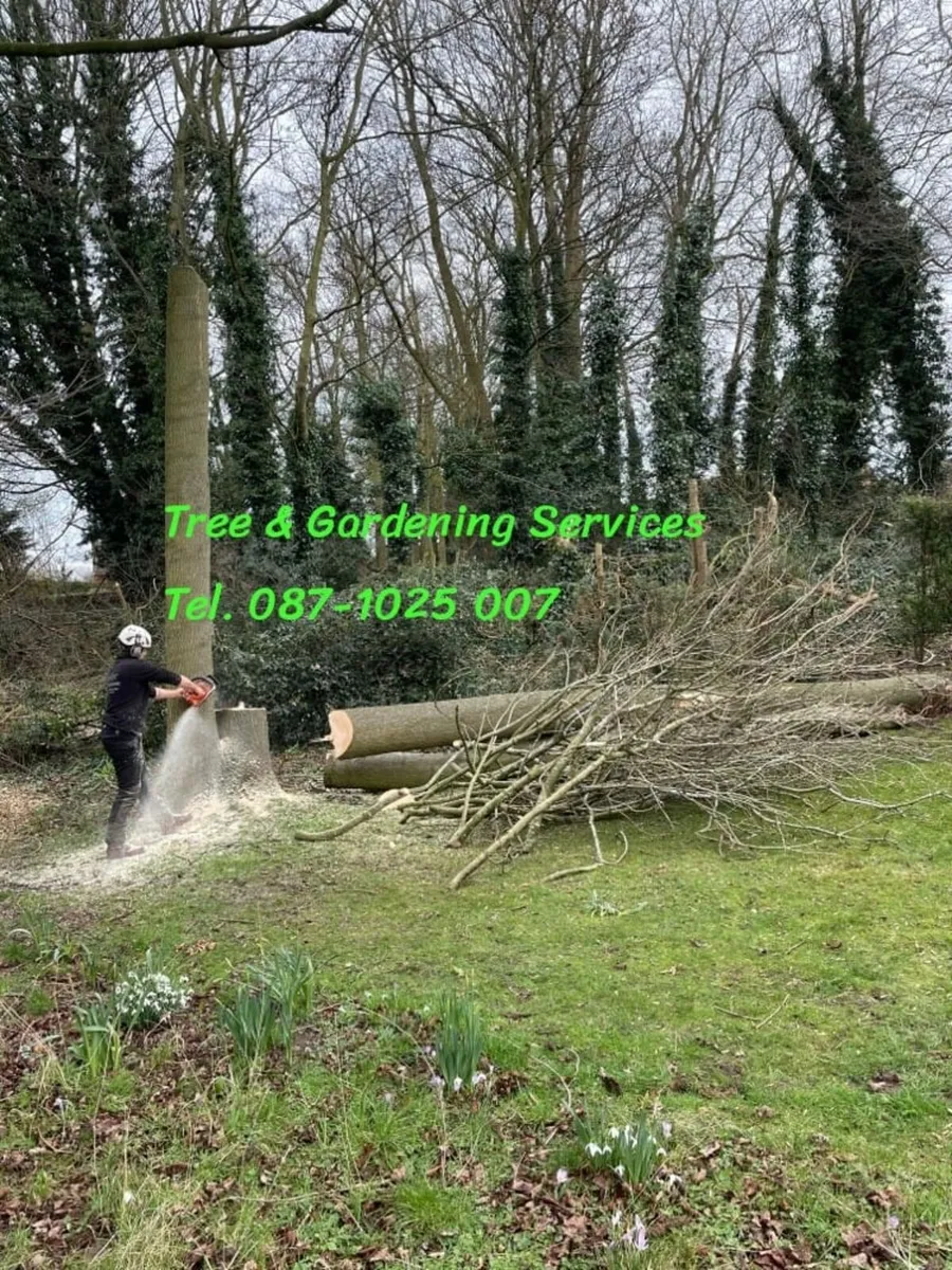 Tree And Gardening Services
