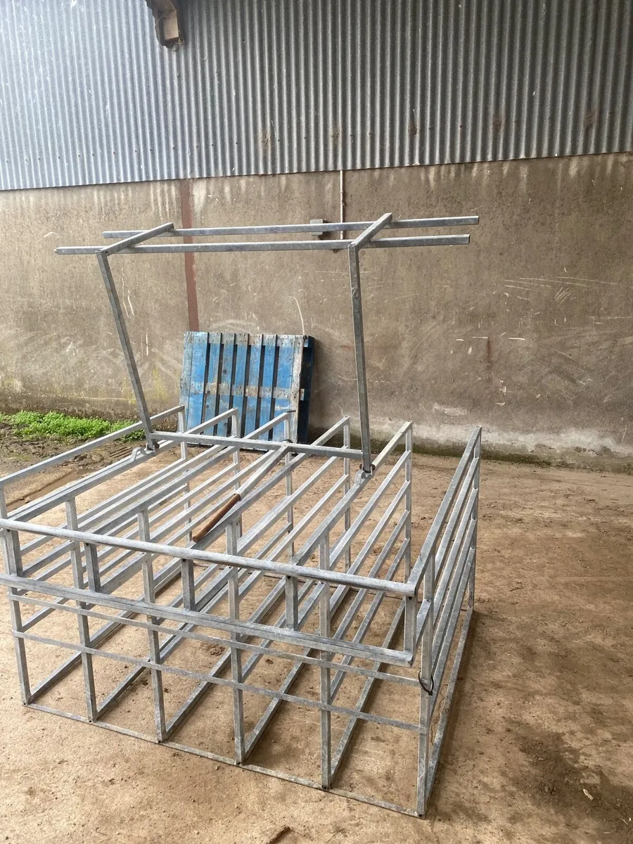 Calf multi feeder station - Image 1