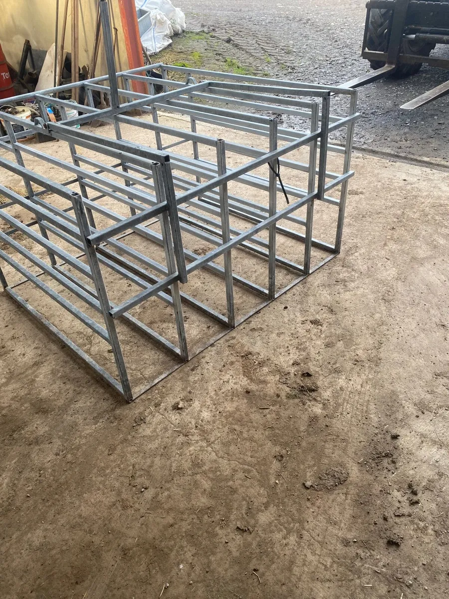 Calf multi feeder station - Image 4