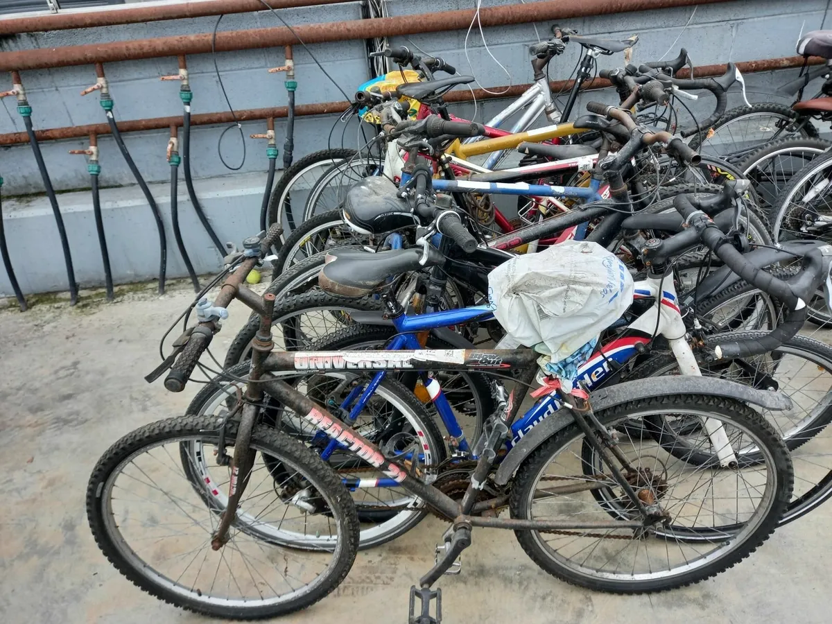 Online Auction Of A  Selection Of Bikes & More! - Image 1