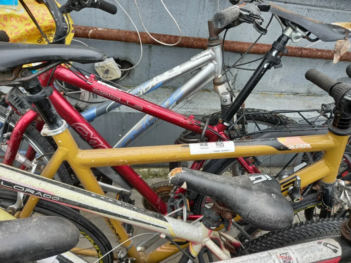 Online Auction Of A  Selection Of Bikes & More! - Image 2