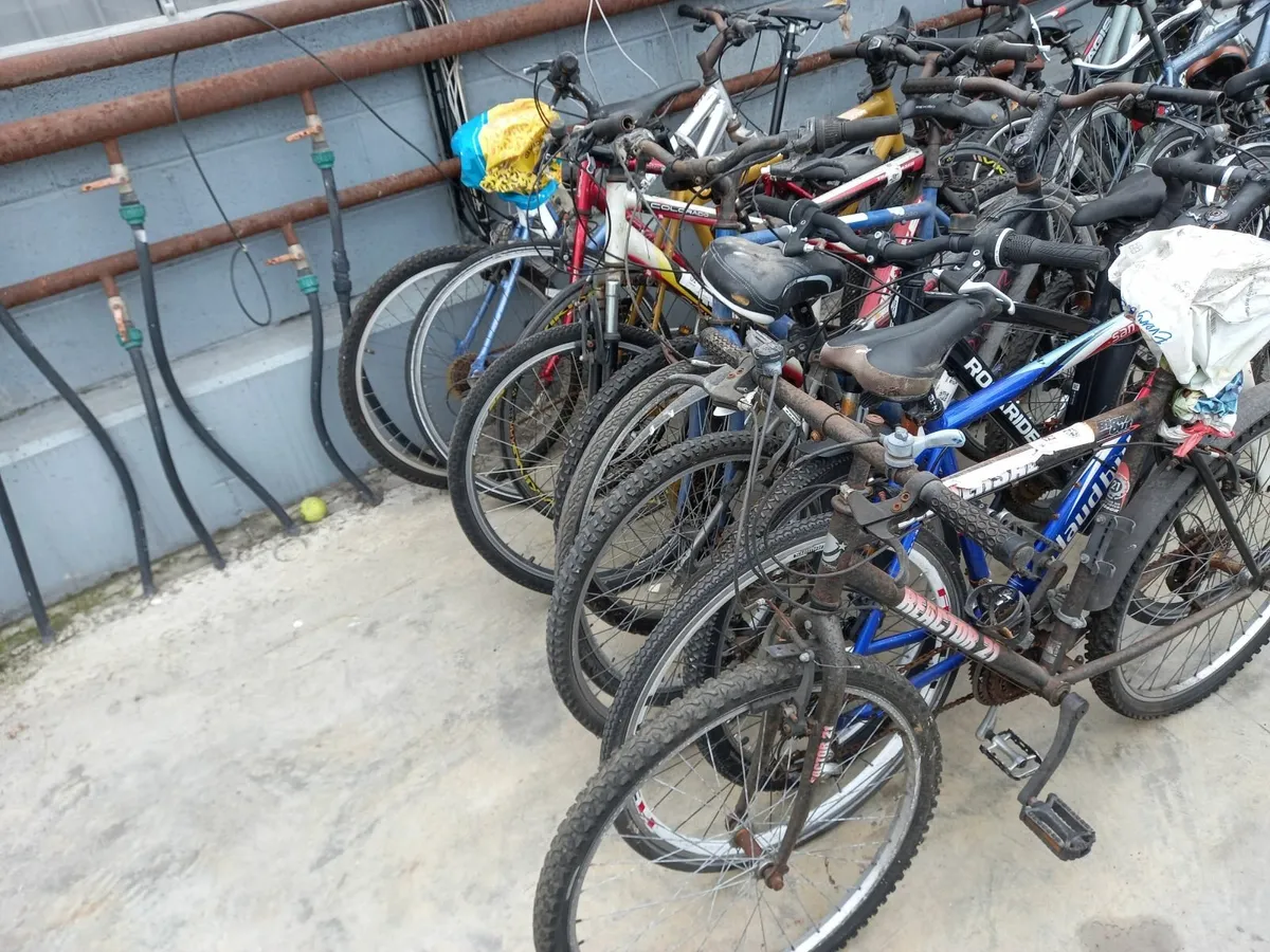 Online Auction Of A  Selection Of Bikes & More! - Image 3