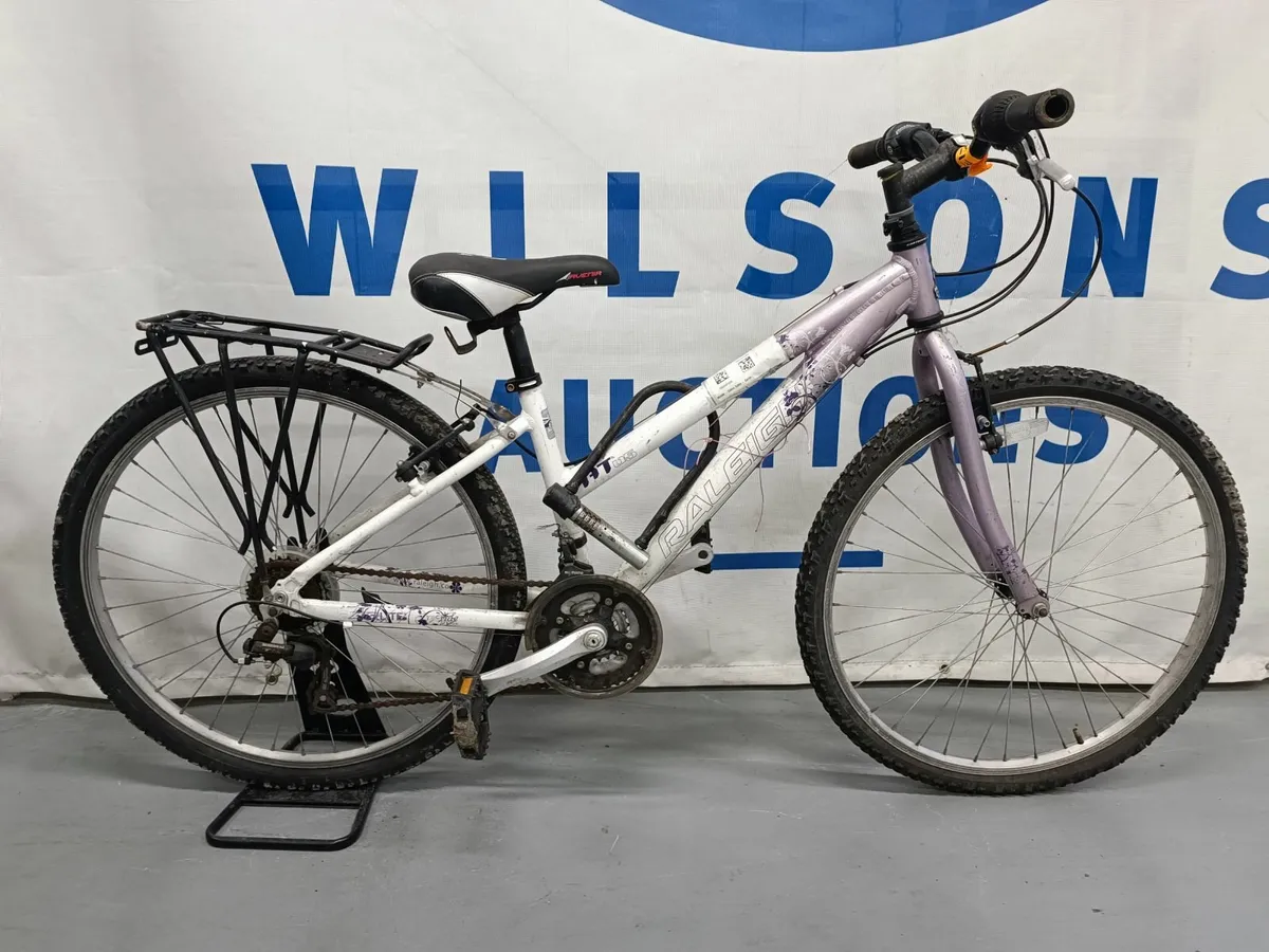 Online Auction Of A Raleigh Airlite & More! - Image 1