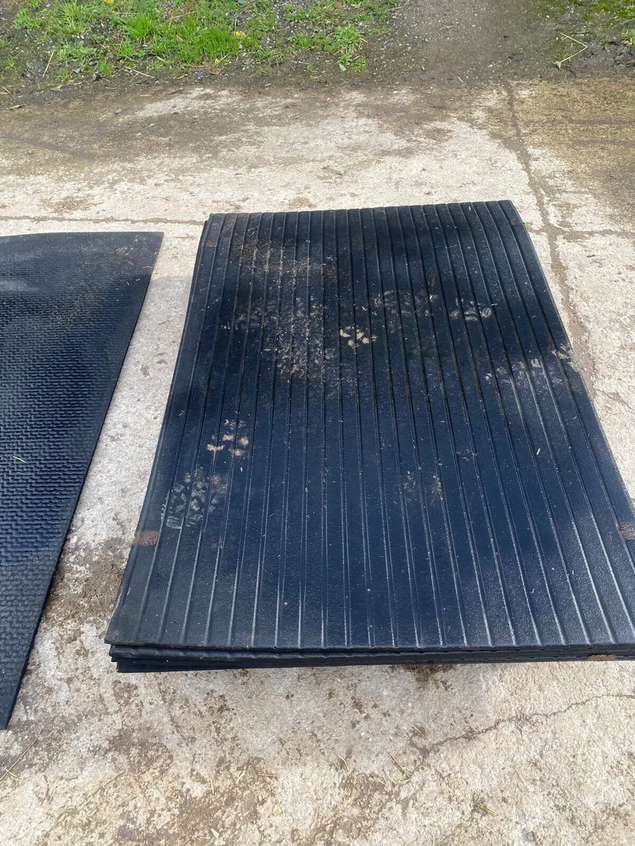 Cow cubicles and rubber mats - Image 4