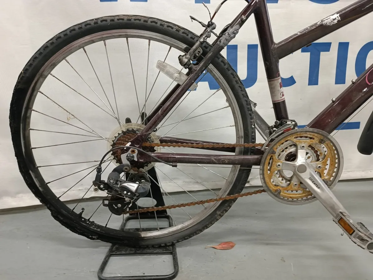 Online Auction Of  A Hybrid Bike & More! - Image 3