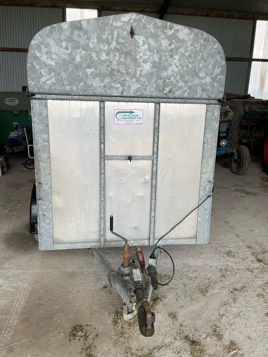 Indespension cow box - Image 2