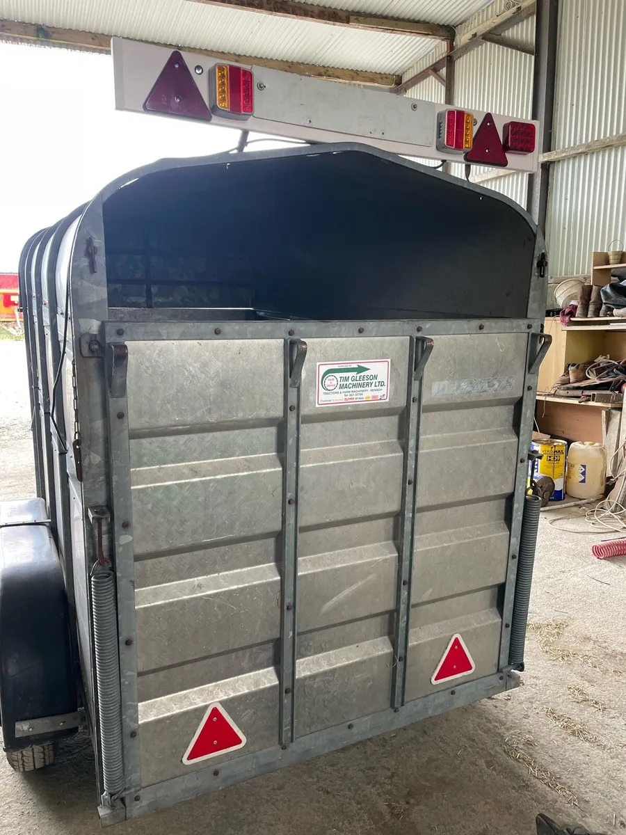 Indespension cow box - Image 4