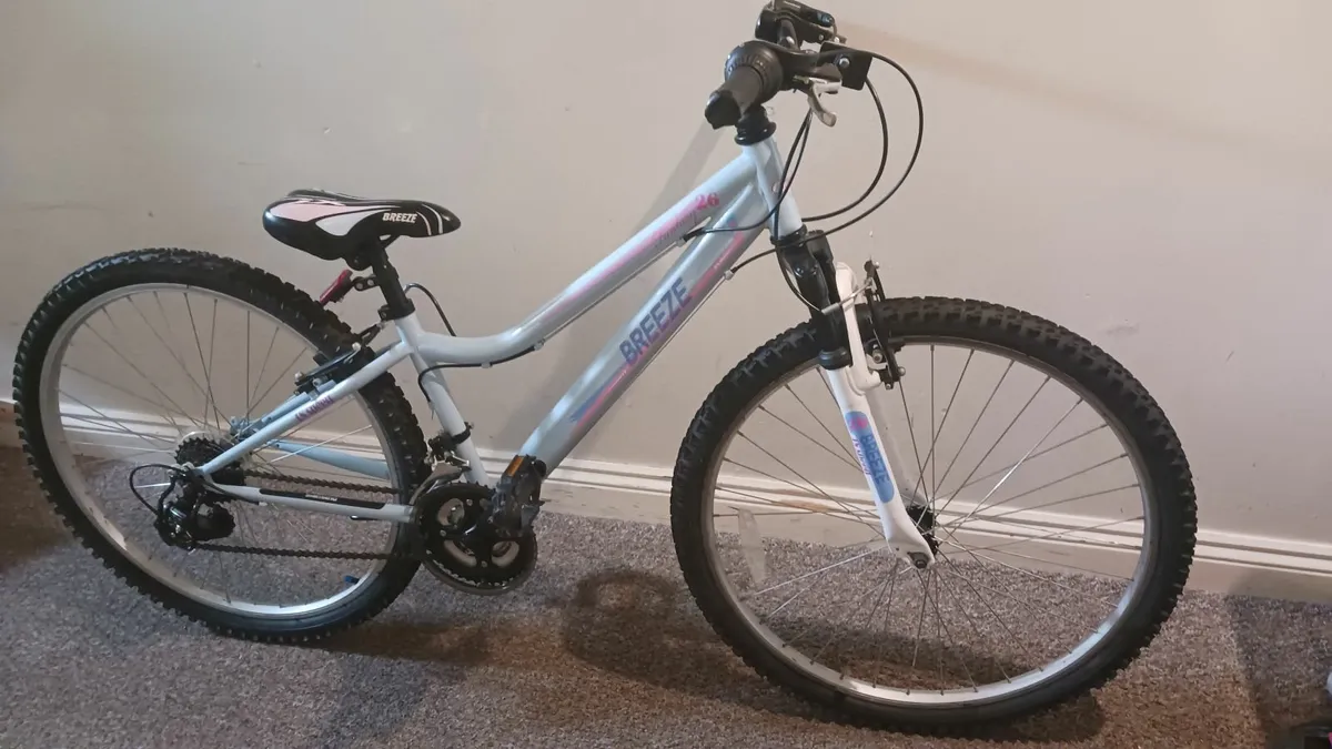 Bicycle - Image 2