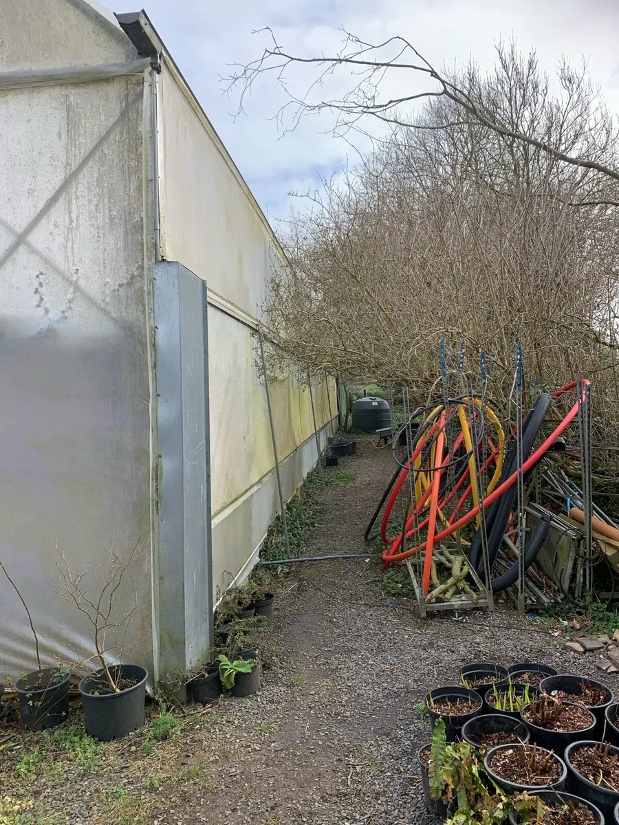 Polytunnel - Image 2