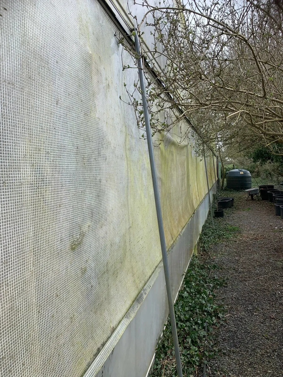 Polytunnel - Image 4